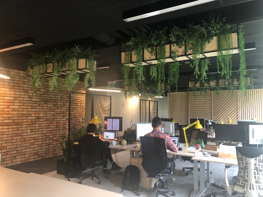 Biuro z roślinami zwisającymi z sufitu.