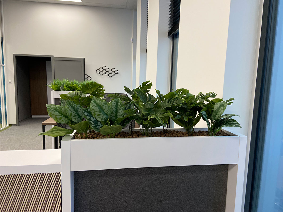 Sadzarka z rośliną w biurze.