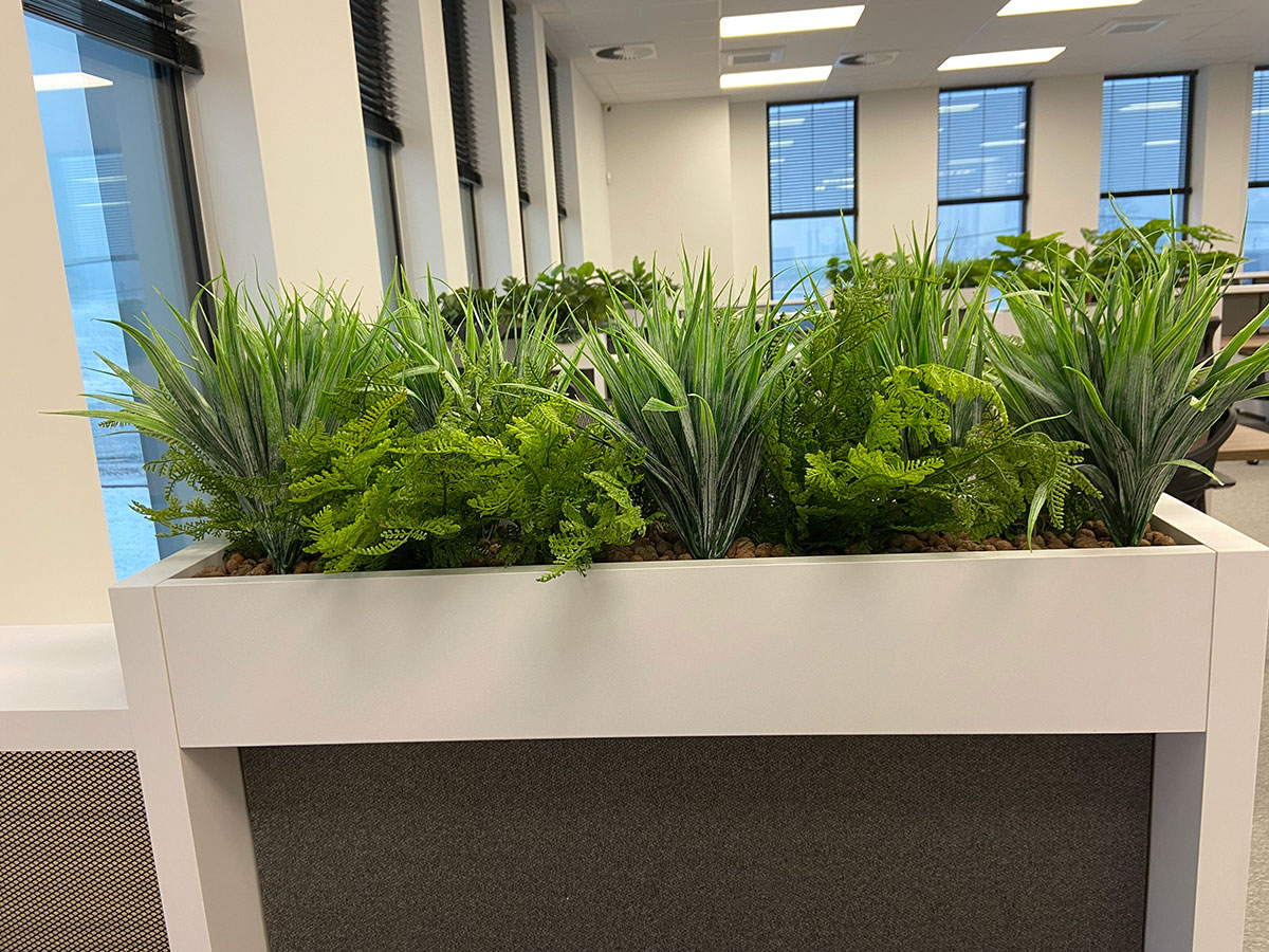 Sadzarka z roślinami w biurze.