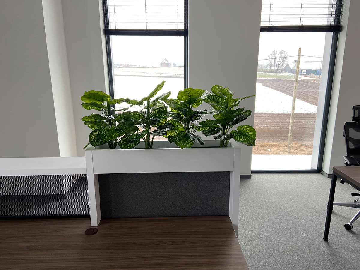 Biuro z dużym oknem i rośliną na biurku.