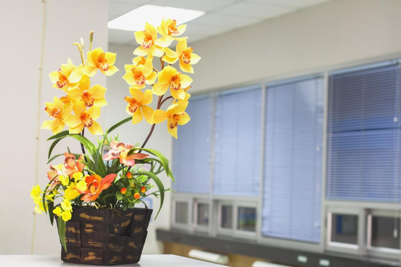 Kwiaty na roślinach pomagają pracownikom skuteczniej odprężać wzrok.