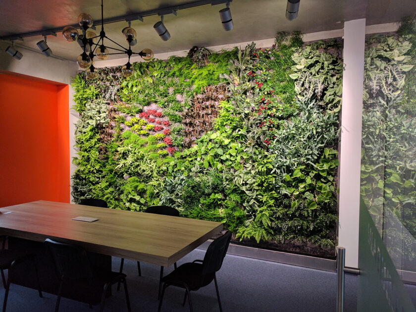 Zielona ściana w biurze ze stołem i krzesłami.