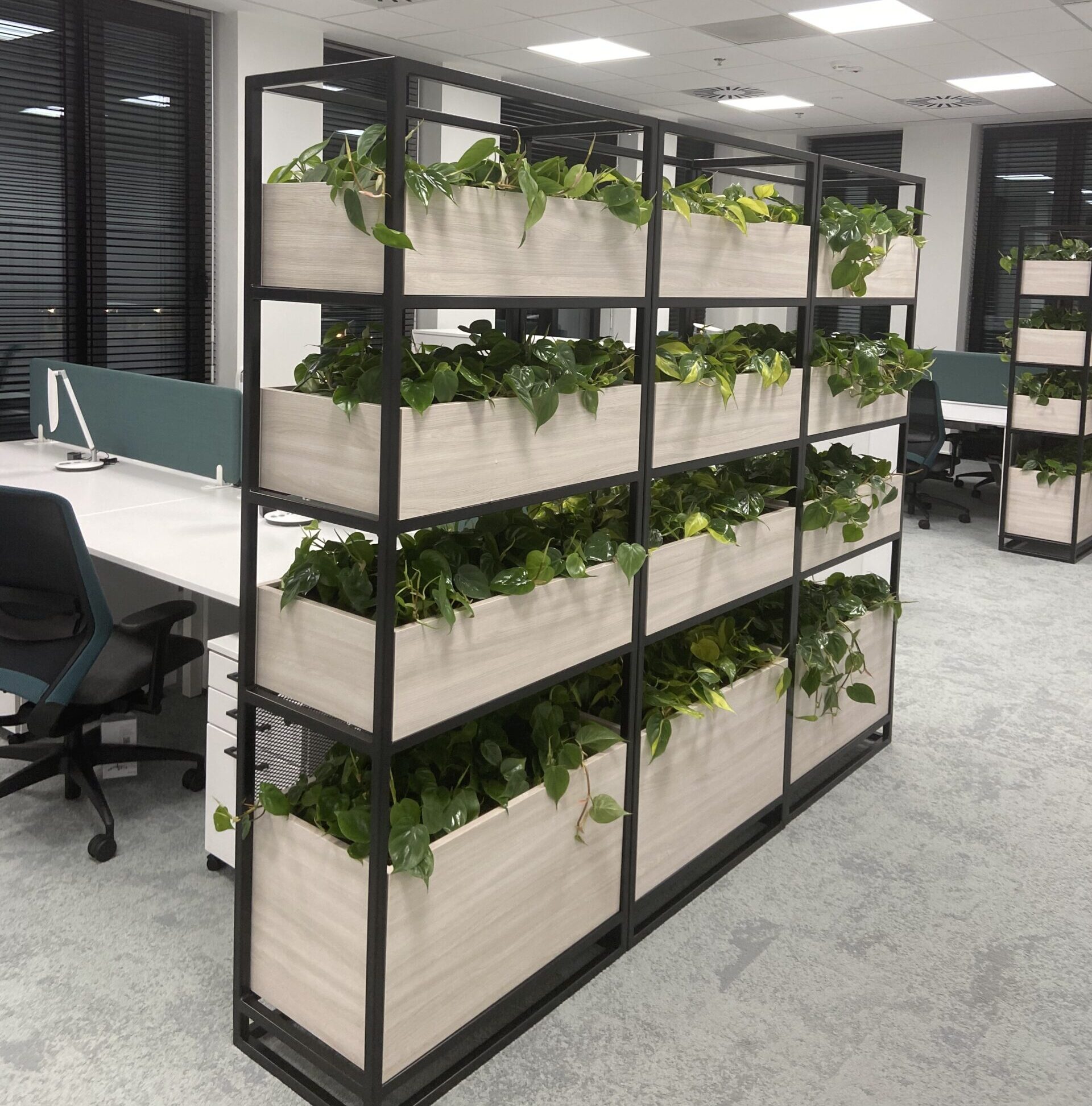 Biuro z dużą ilością roślin.