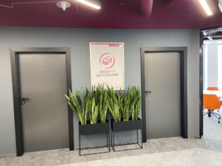 Biuro z dwójką drzwi i rośliną na ścianie.