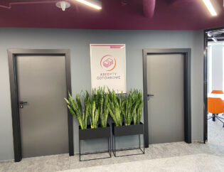 Biuro z dwójką drzwi i rośliną na ścianie.
