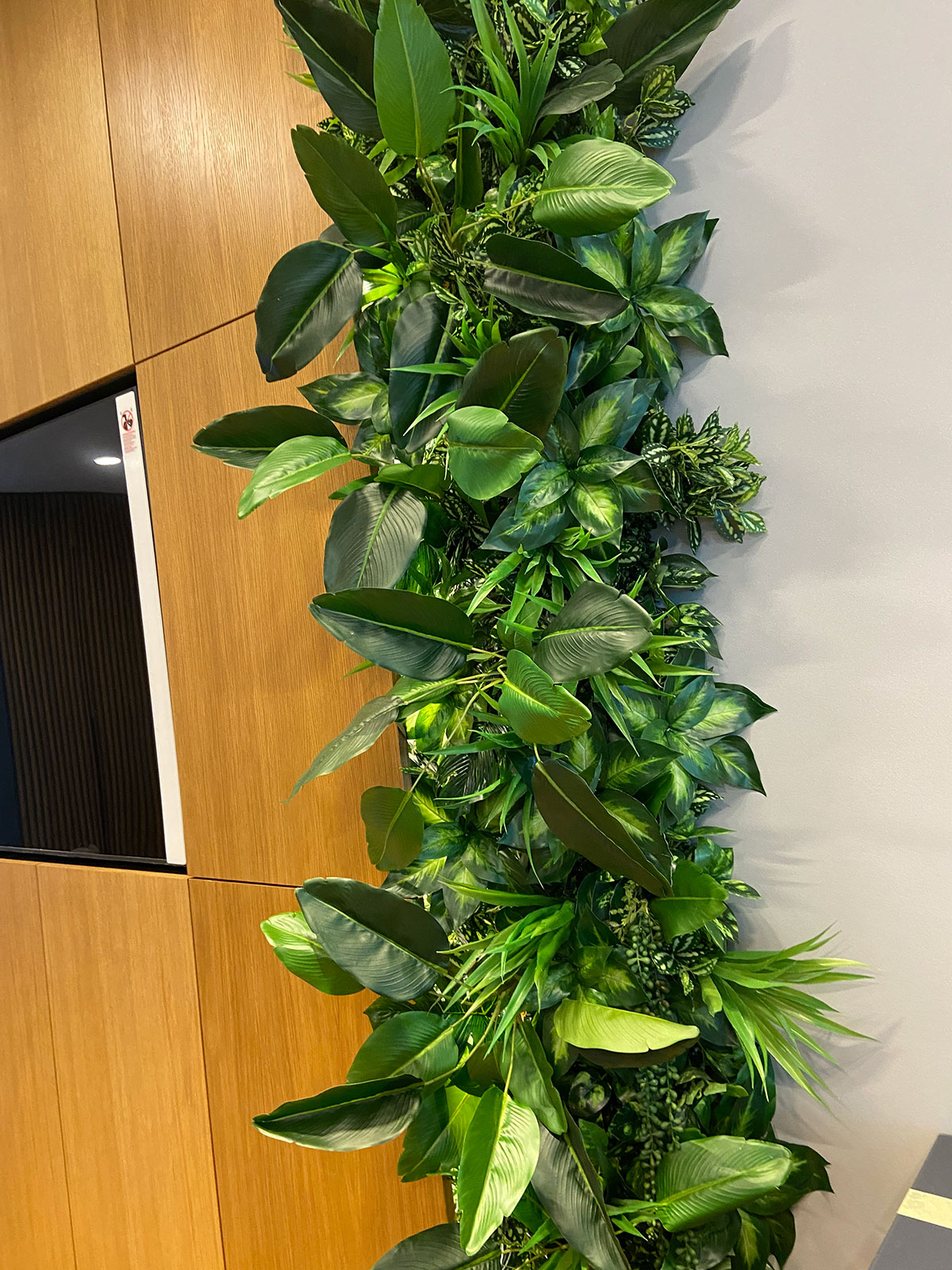 Zielona ściana w biurze z roślinami.