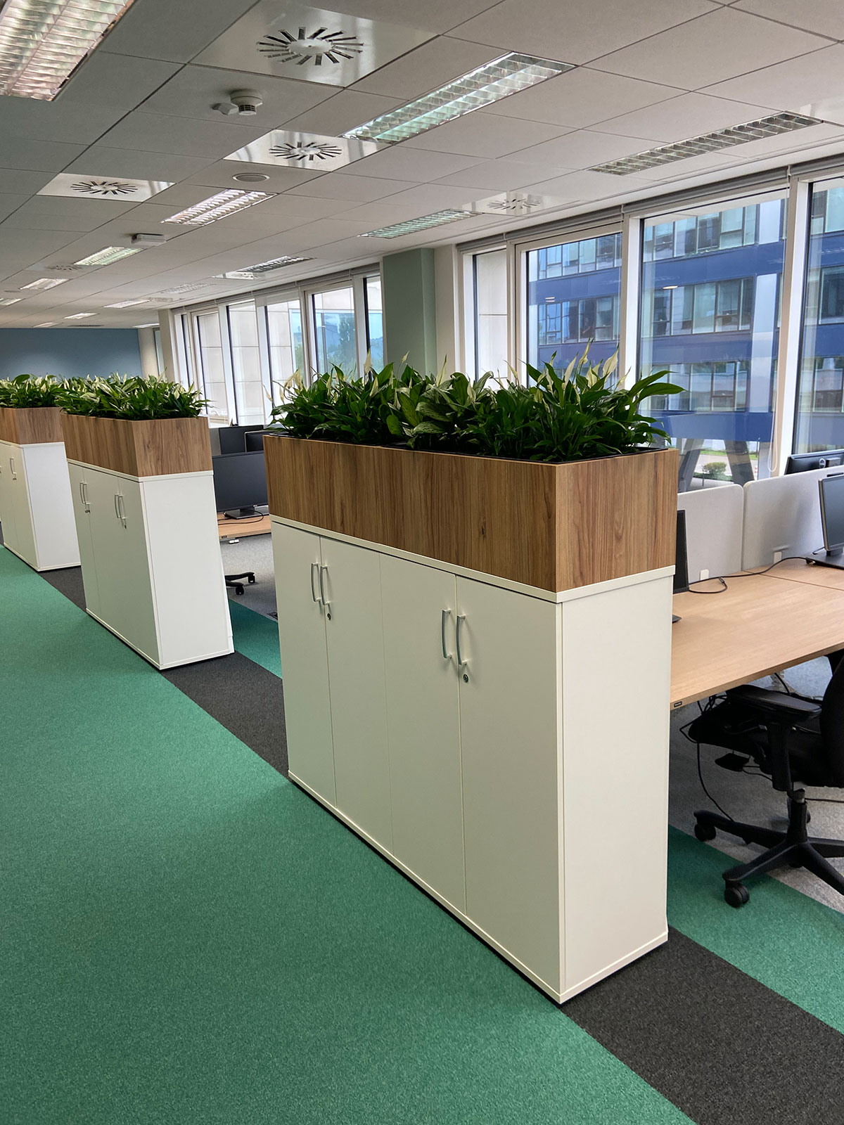 Biuro z biurkami i roślinami.