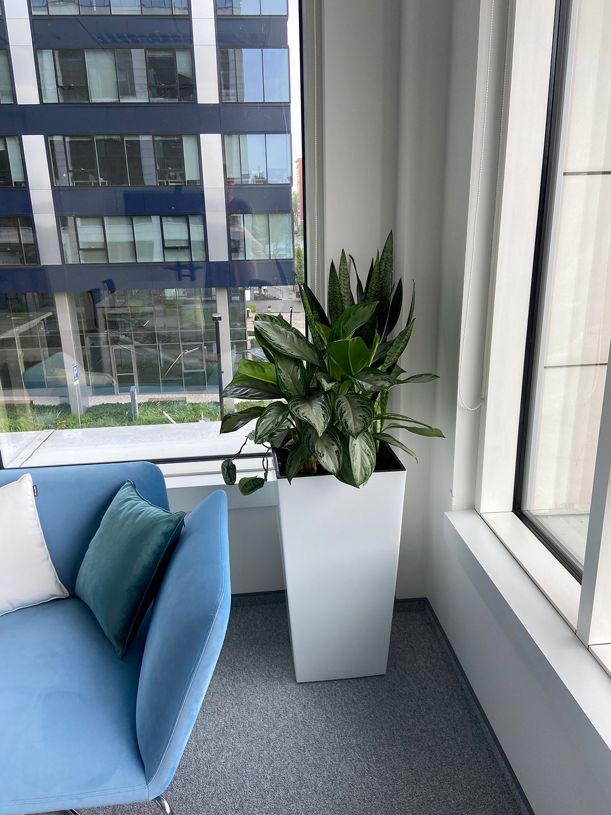 Niebieskie krzesło z rośliną przed oknem.