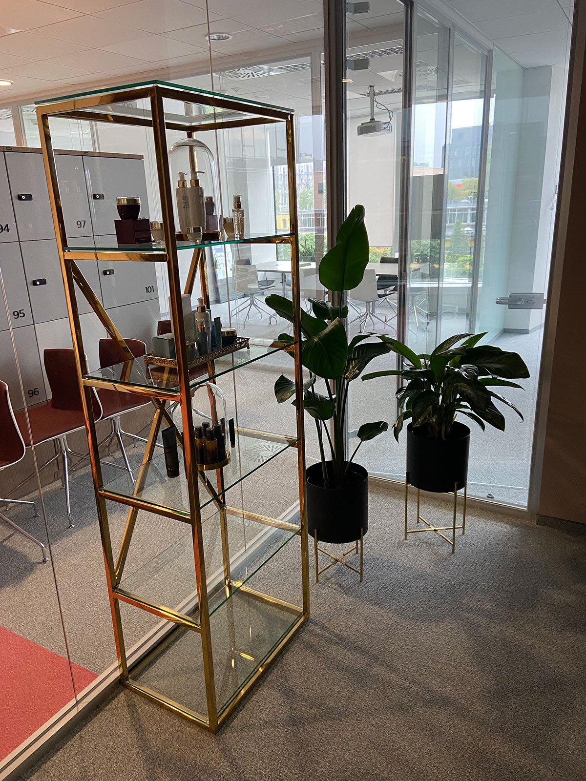 Szklana półka z rośliną w biurze.