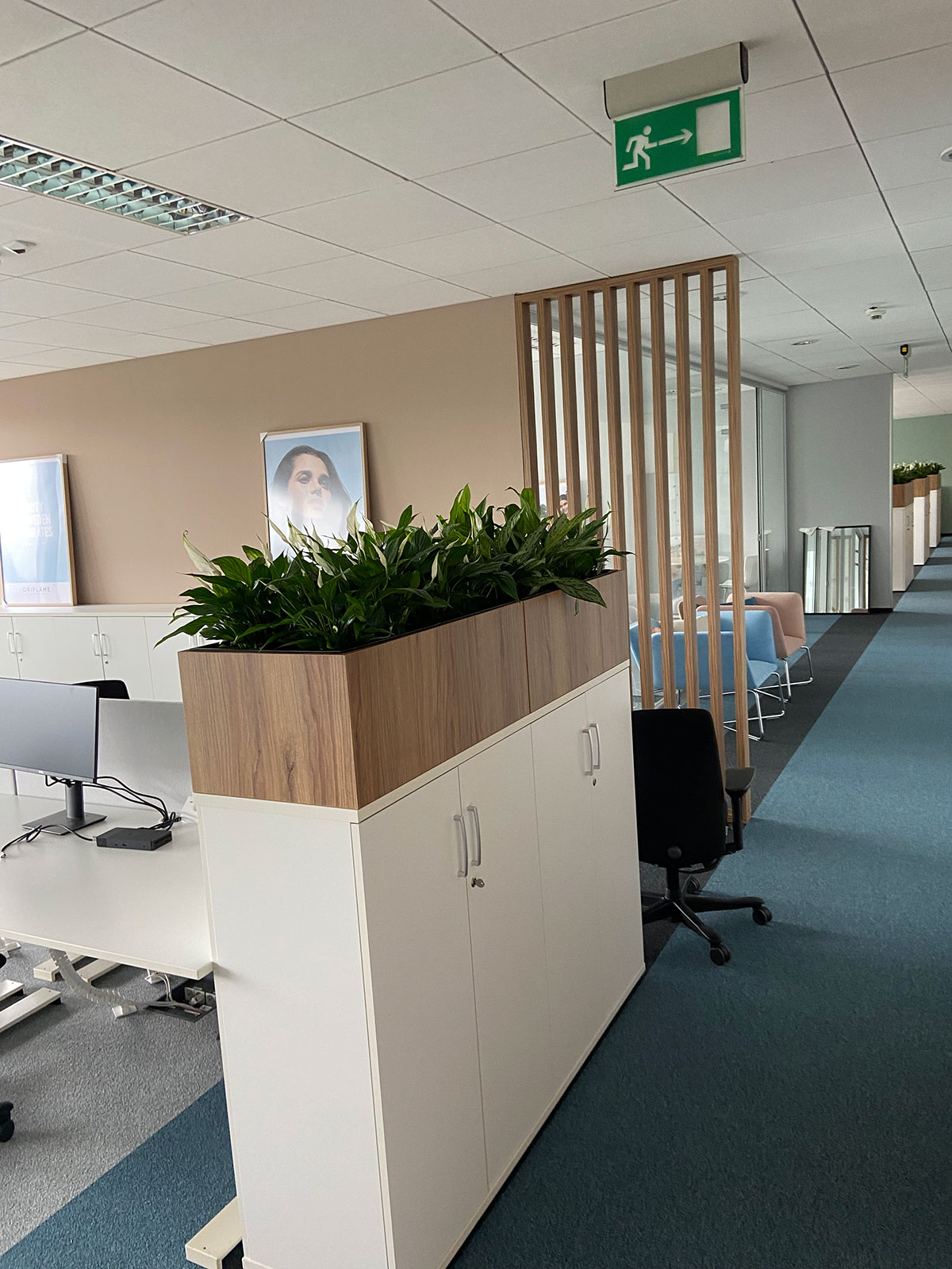 Biuro z biurkami, krzesłami i roślinami.