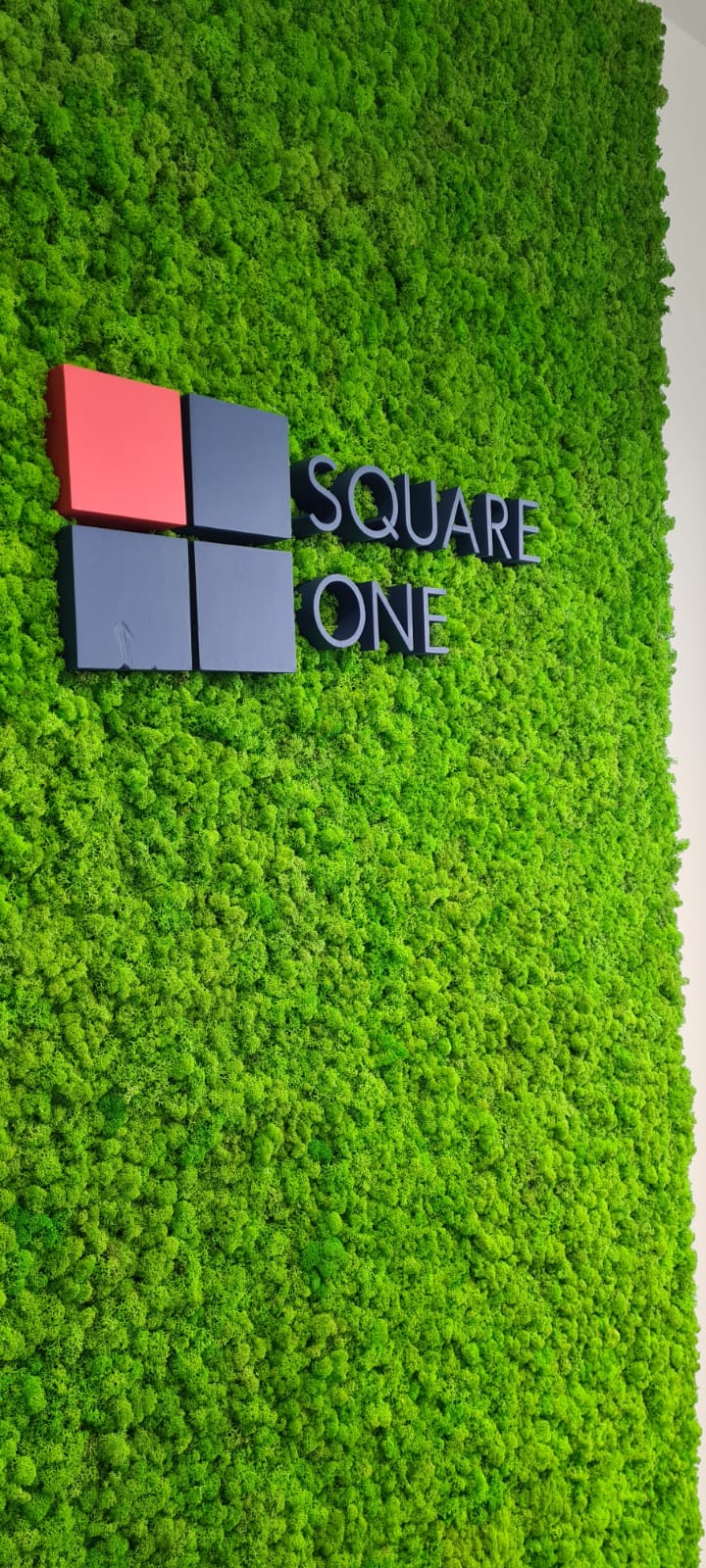 square-one-2