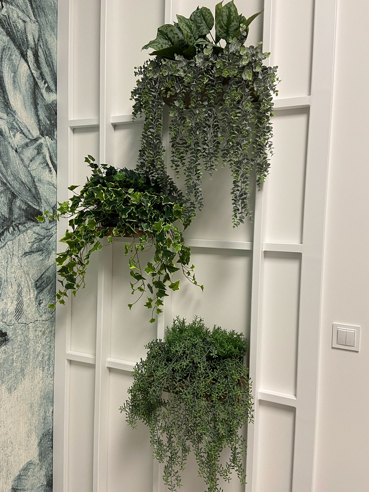 Trzy rośliny wiszą na ścianie w pokoju.