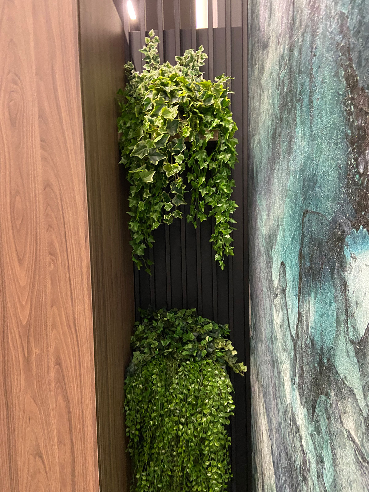 Żywa ściana z zielonymi roślinami i drewniana ściana.