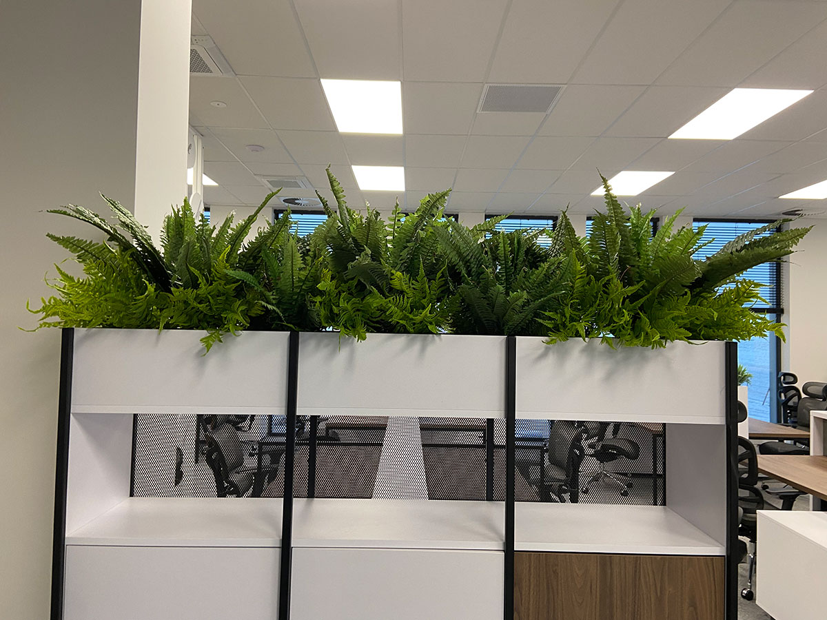 Biuro z dużą ilością roślin.