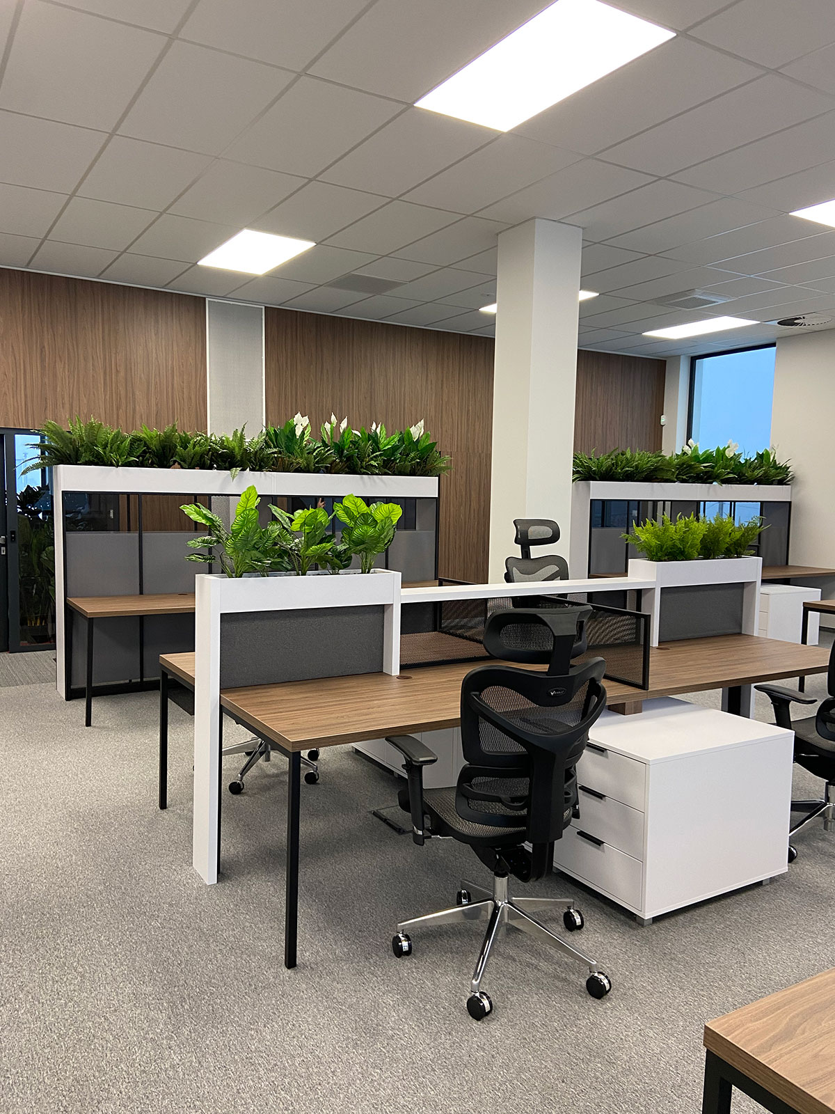 Otwarte biuro z biurkami i roślinami.