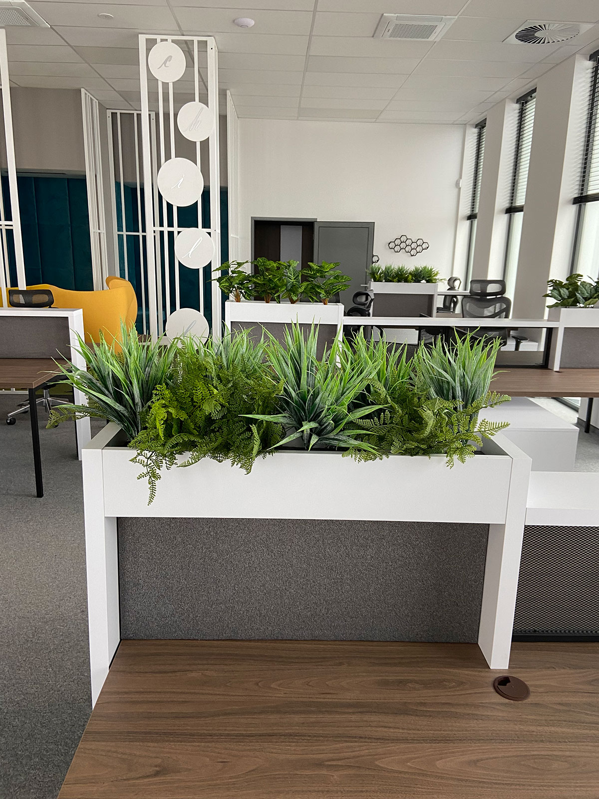 Biuro z roślinami na biurkach.
