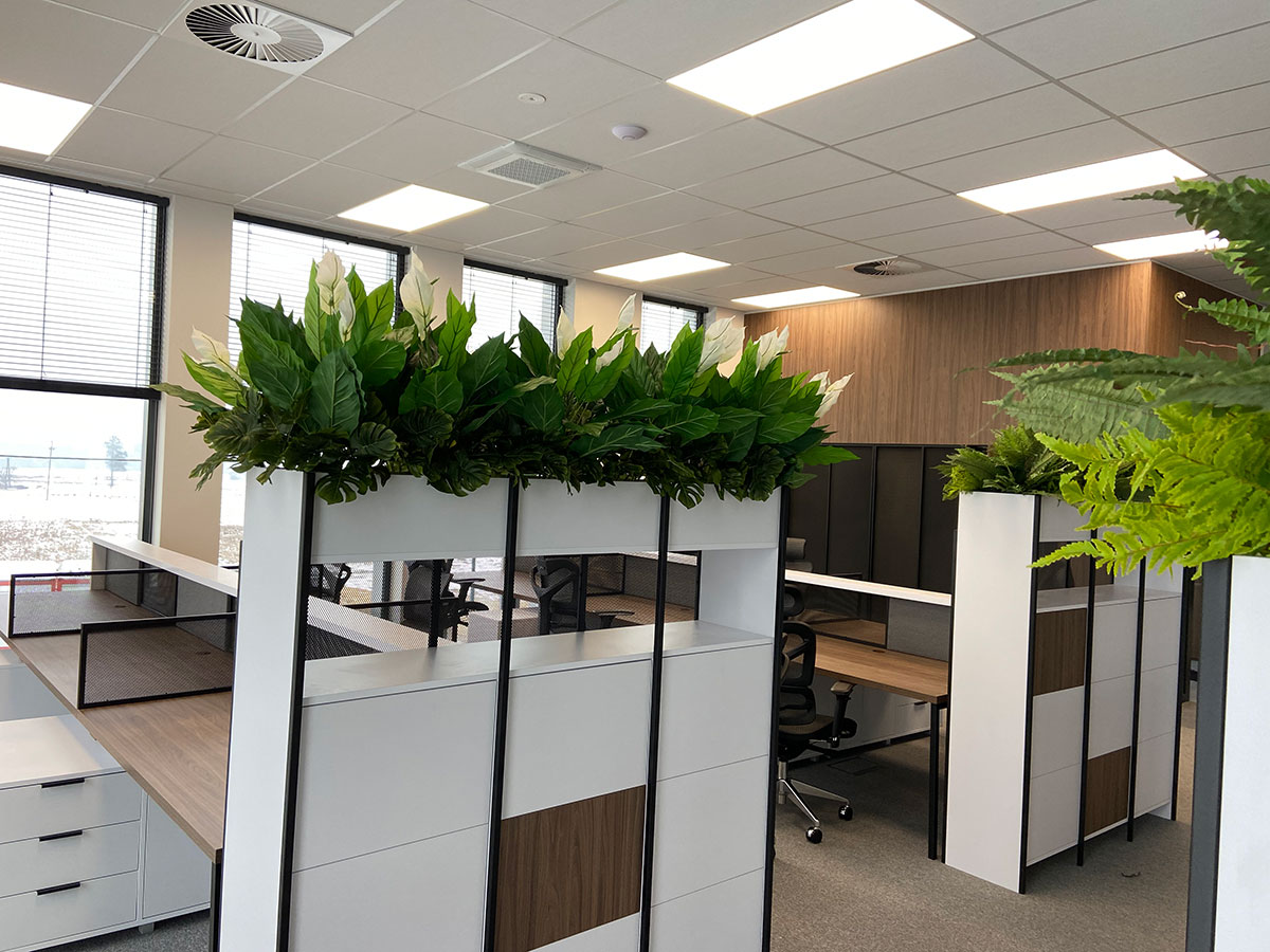 Biuro z dużą ilością roślin i biurek.