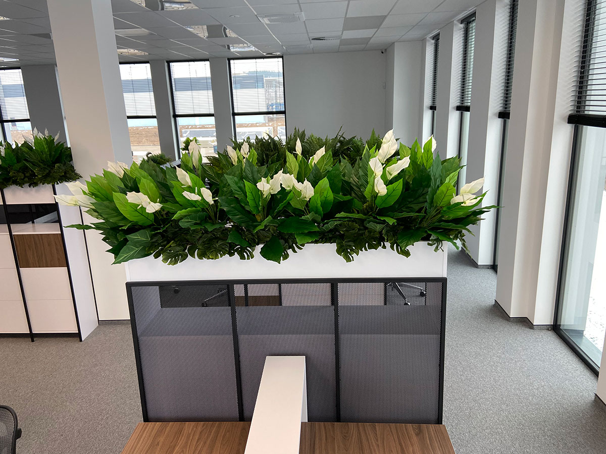 Biuro z dużą ilością zieleni.