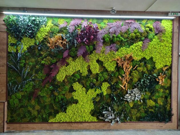 Ogrody wertykalne: Ściana z mchu w pomieszczeniu z roślinami.