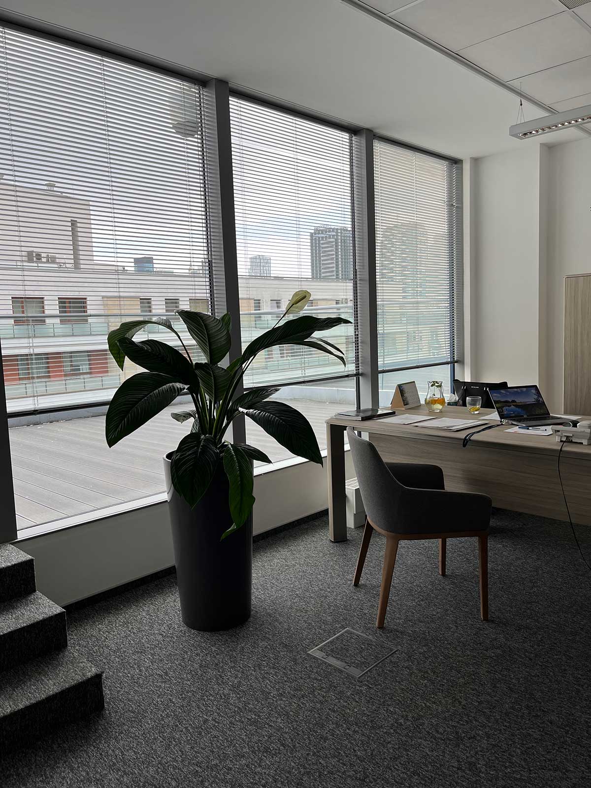 Biuro Booksy z dużymi oknami i rośliną na biurku.