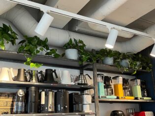 Kawiarnia Booksy ozdobiona roślinami na półkach.