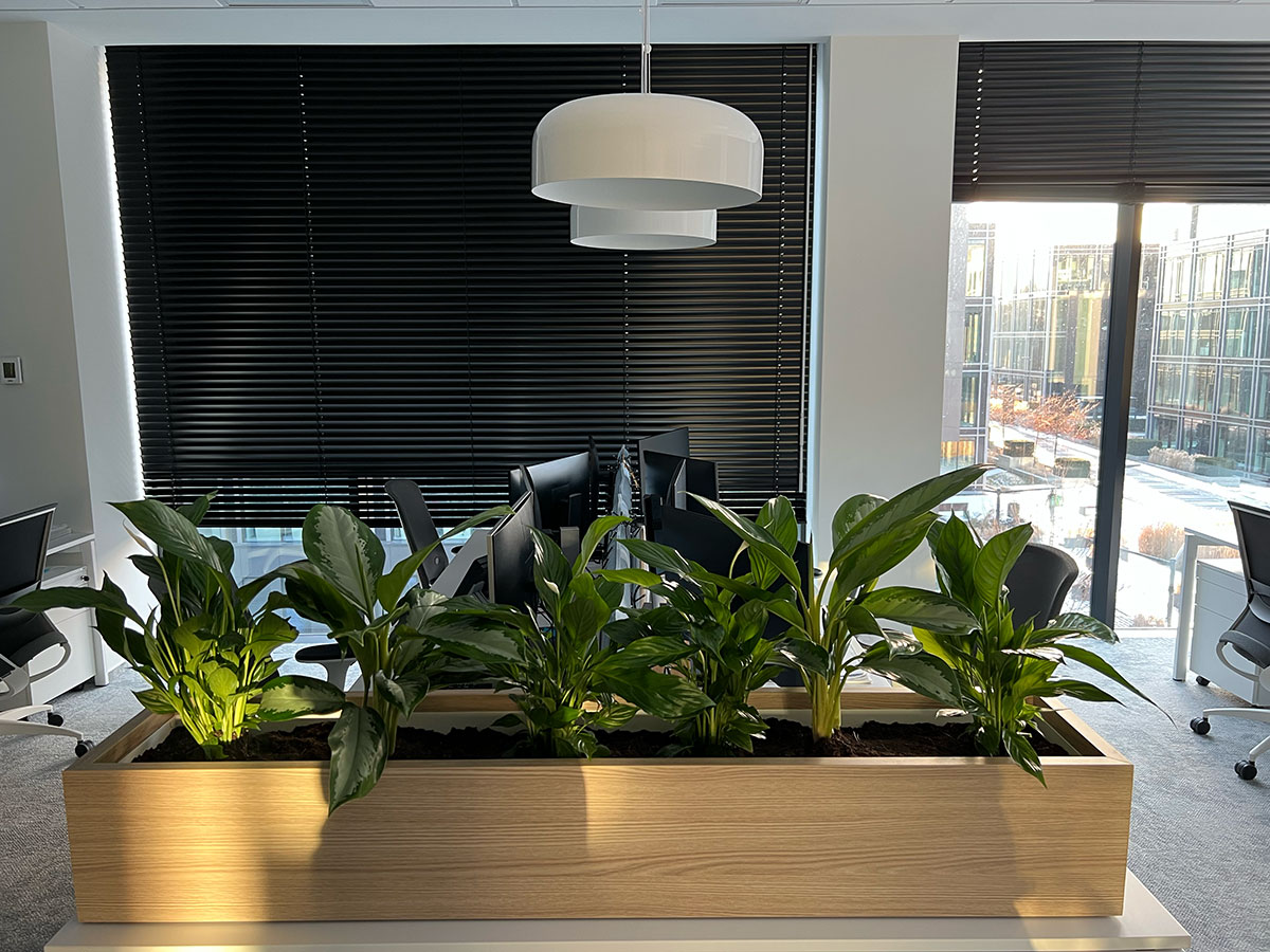 Biuro z roślinami Booksy w drewnianej doniczce.