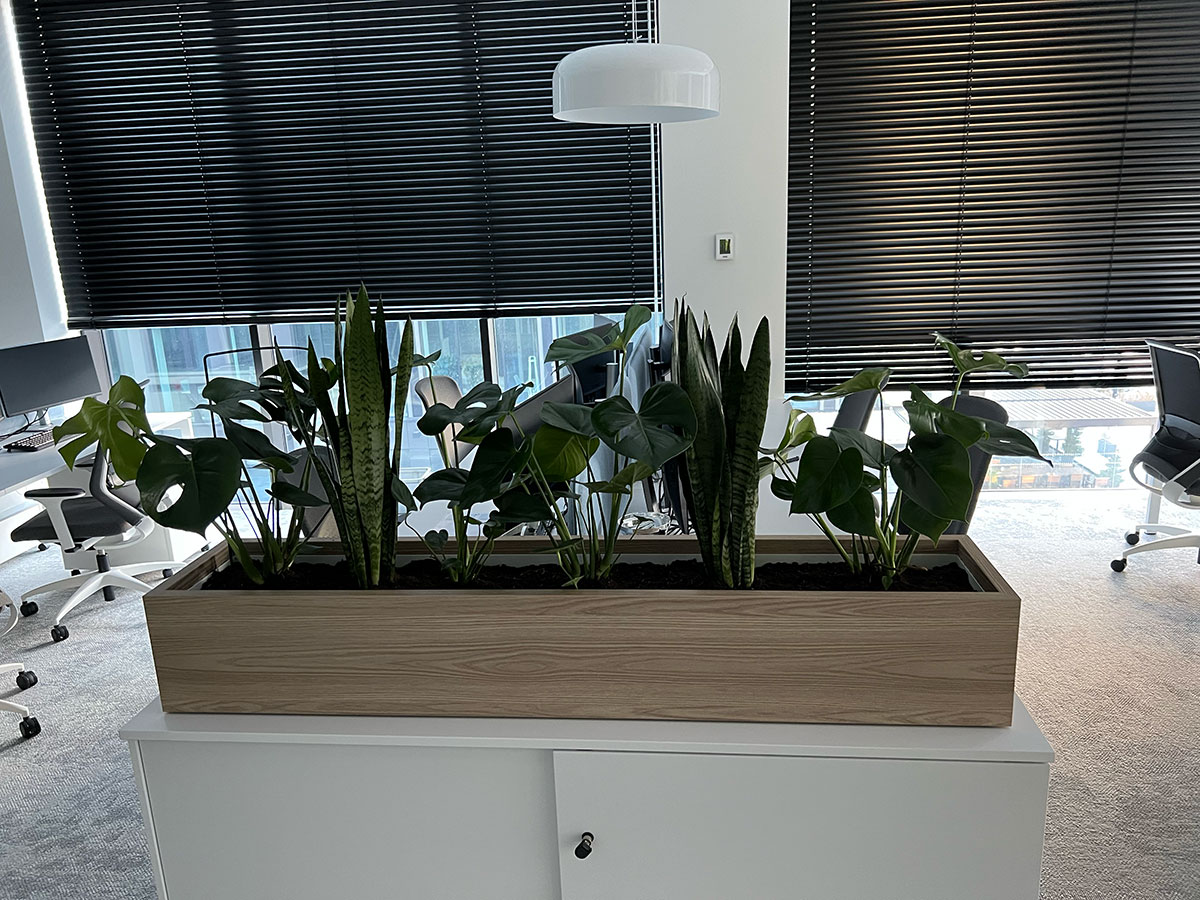 Biuro z roślinami w drewnianym pudełku na biurku z Booksy.