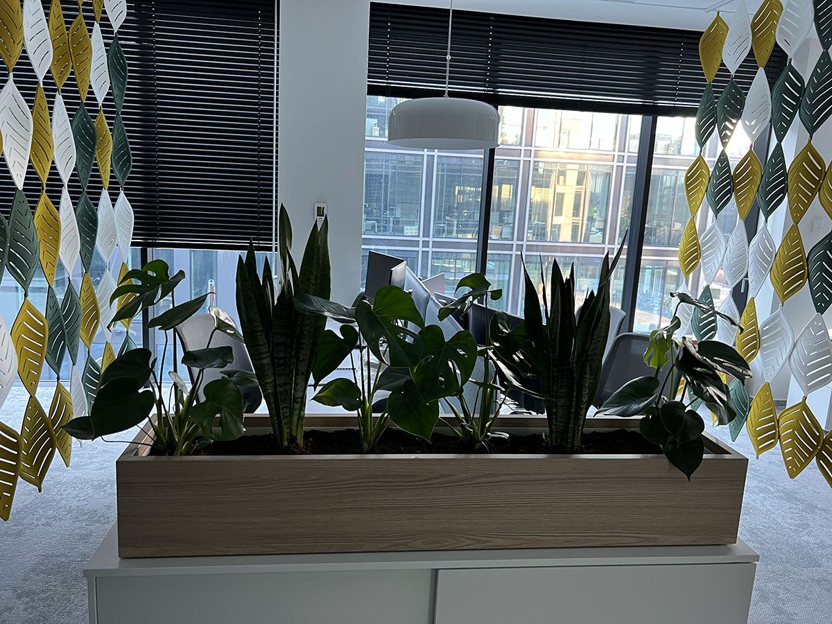 kwiaty do biura