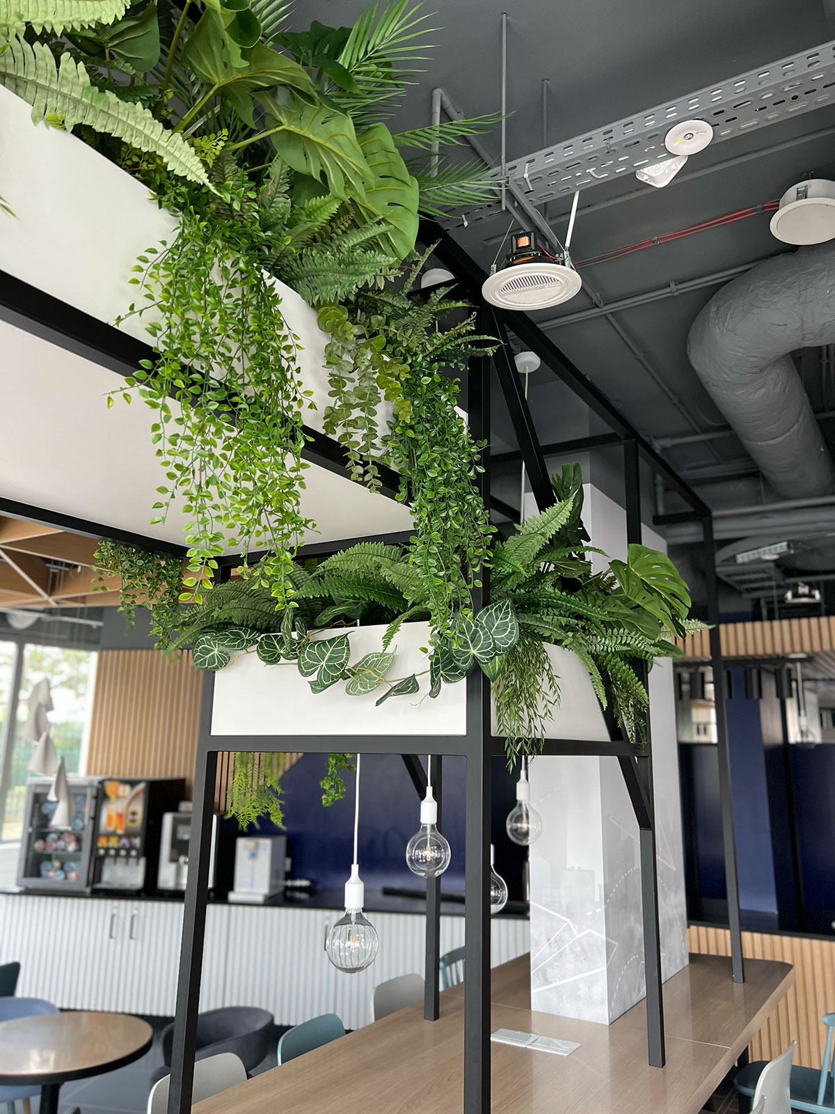 Biuro Booksy z roślinami zwisającymi z sufitu.