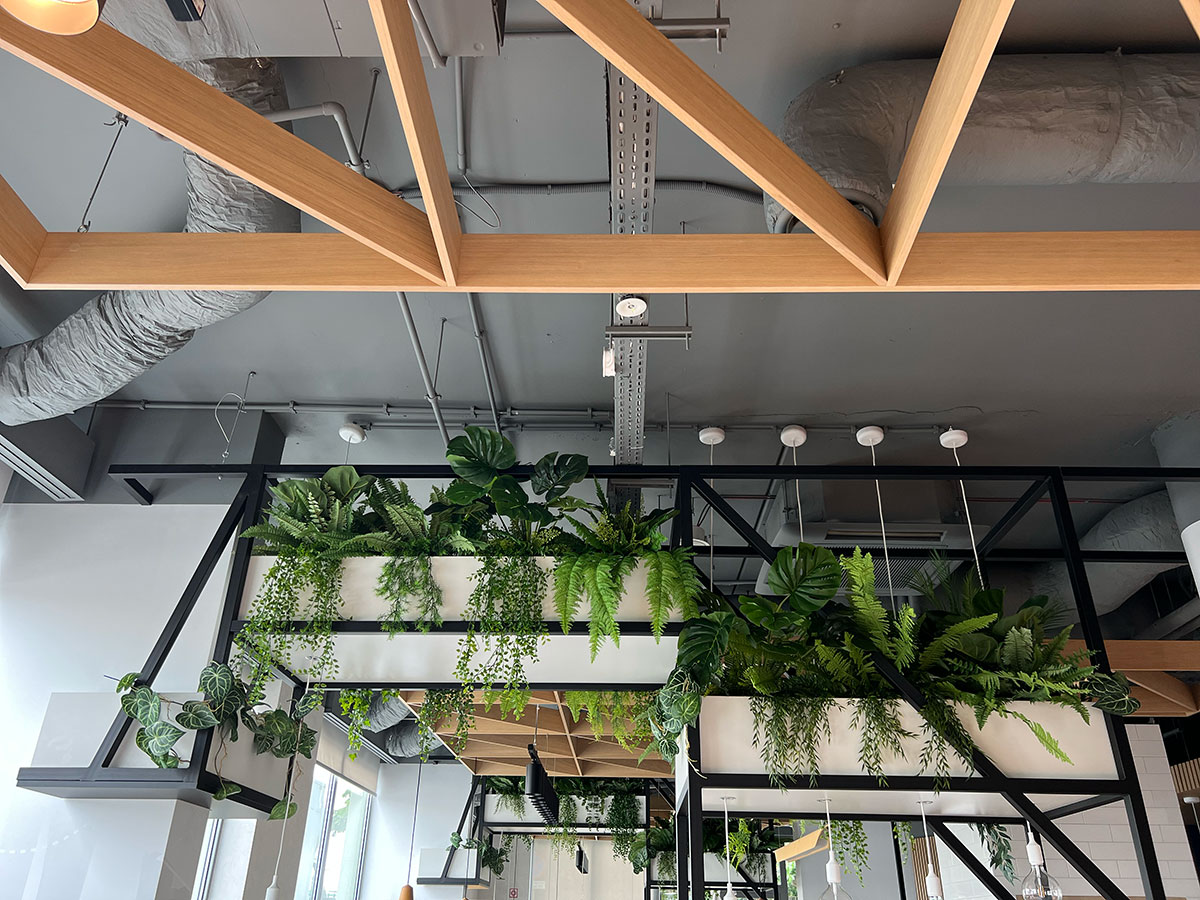 Biuro ozdobione bujnymi roślinami zwisającymi z sufitu, tworzącymi atmosferę dżungli Booksy.
