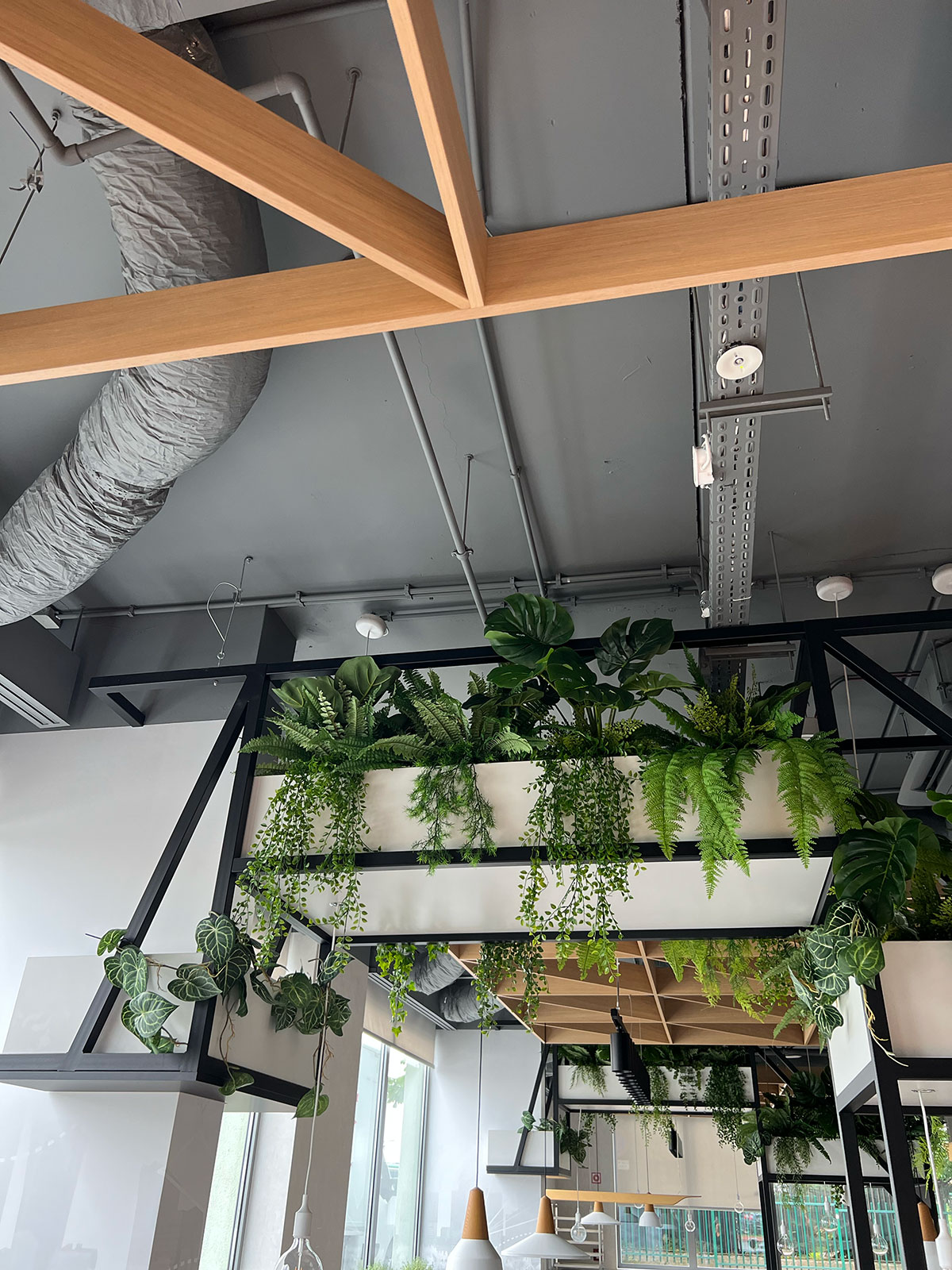 Biuro z roślinami Booksy zwisającymi z sufitu.