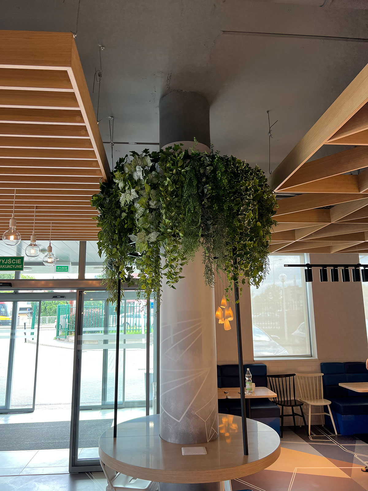 Roślina Booksy zwisająca z sufitu w restauracji.