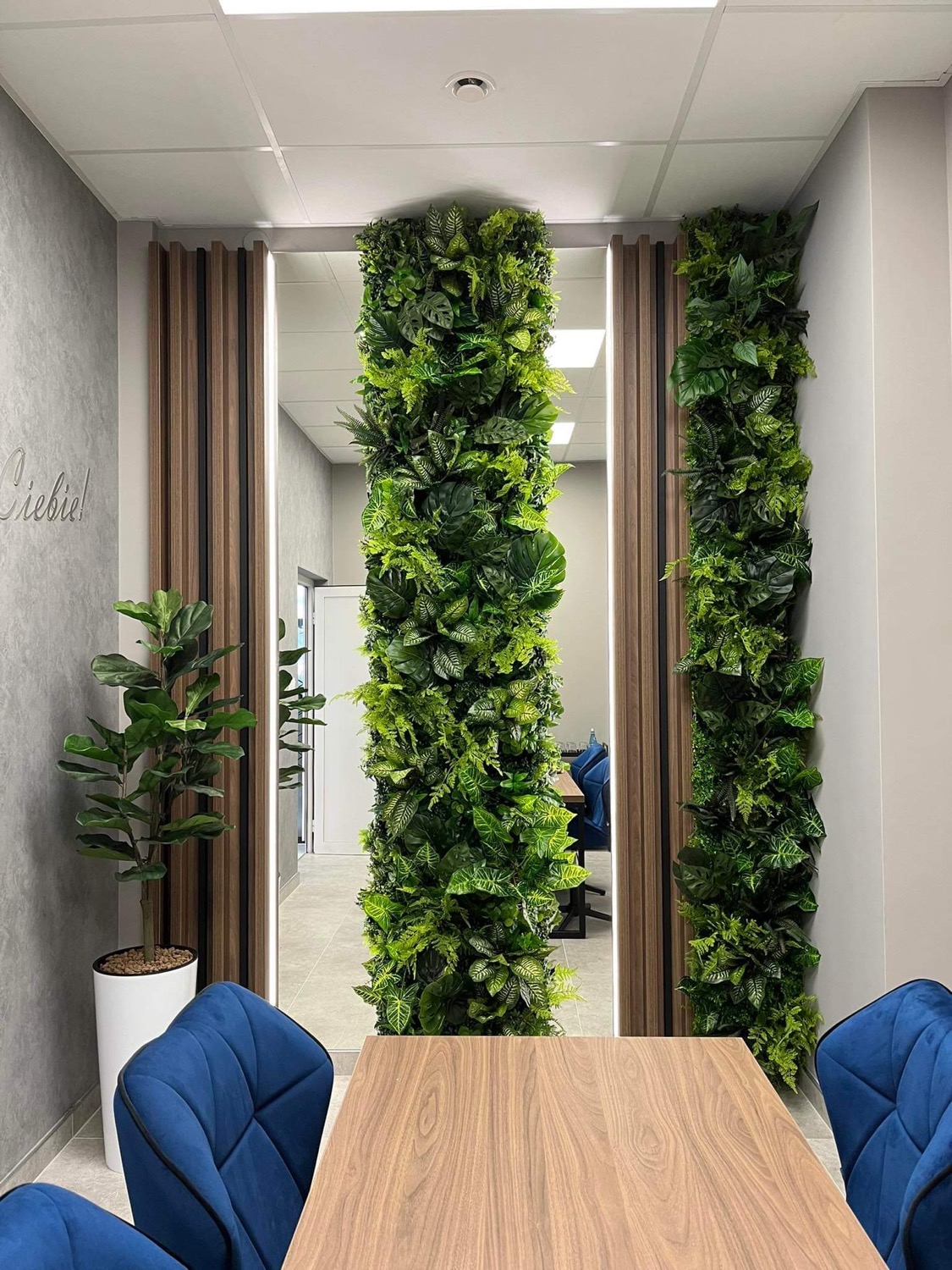 Zielona ściana ozdobiona sztucznymi roślinami w biurze z niebieskimi krzesłami.
