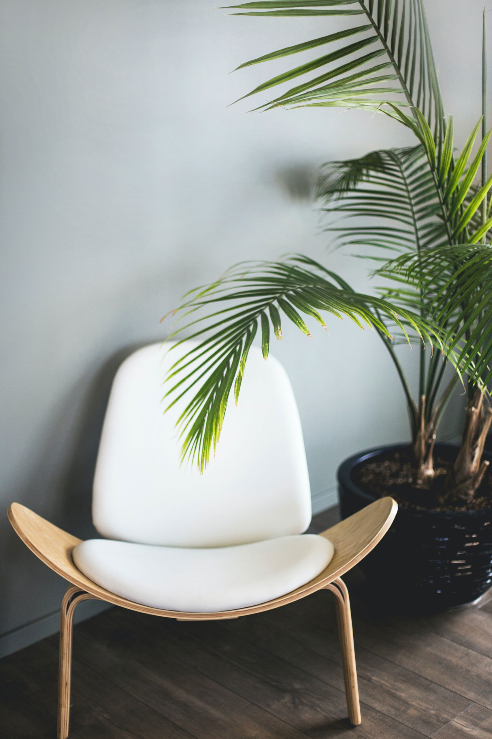 Białe krzesło podkreślające Biophilic Design rośliną doniczkową.