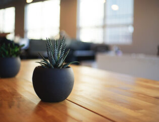 Dwie czarne rośliny doniczkowe na drewnianym stole.