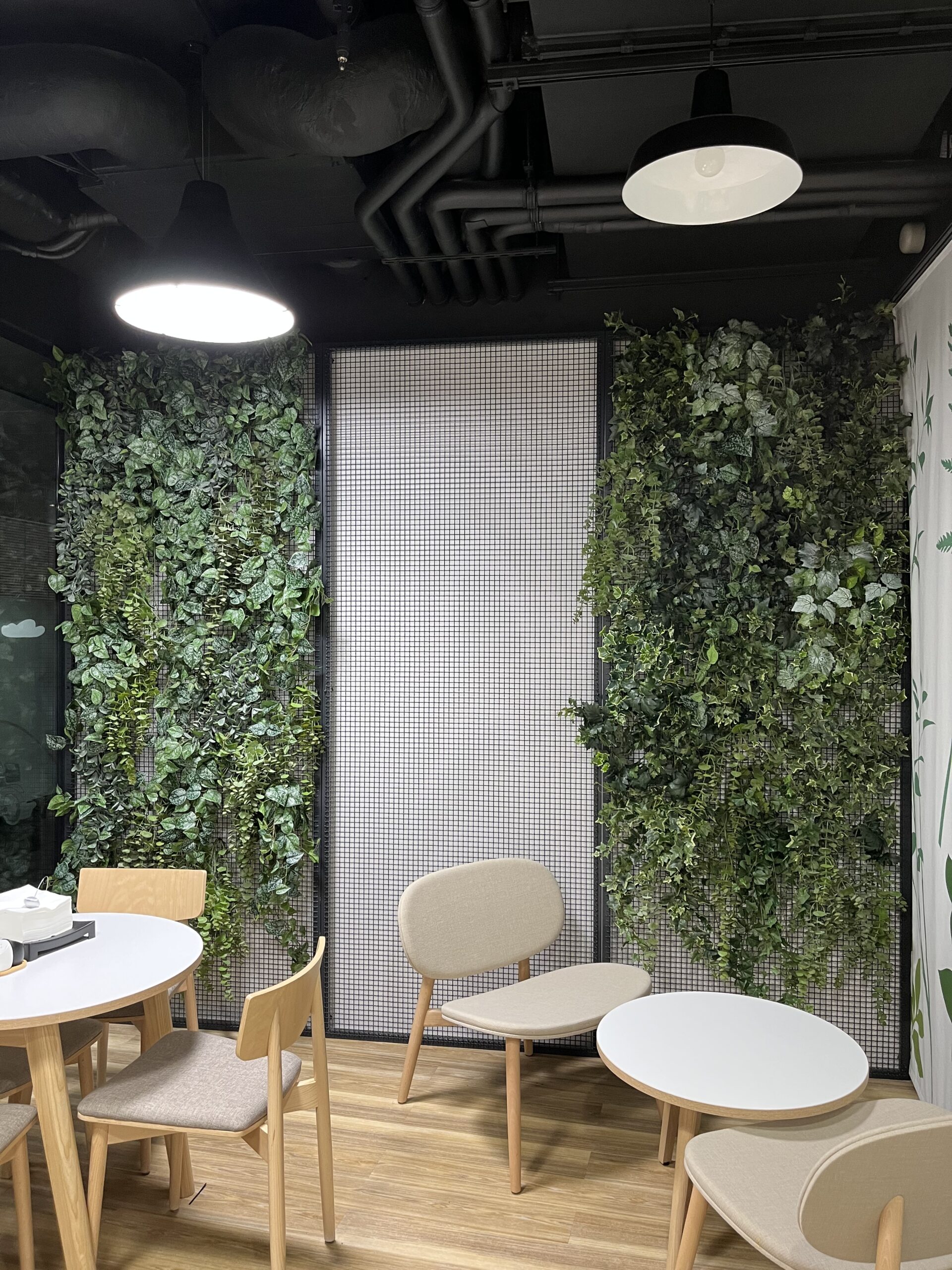 Biuro z zieloną ścianą i krzesłami.