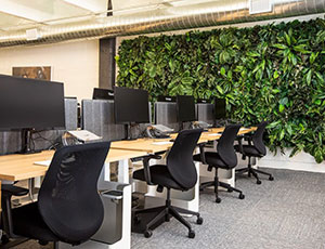 Nowoczesna przestrzeń biurowa z czarnymi krzesłami biurowymi i biurkami wyposażonymi w monitory komputerowe, z dużą, bujną zieloną ścianą roślin w tle.
