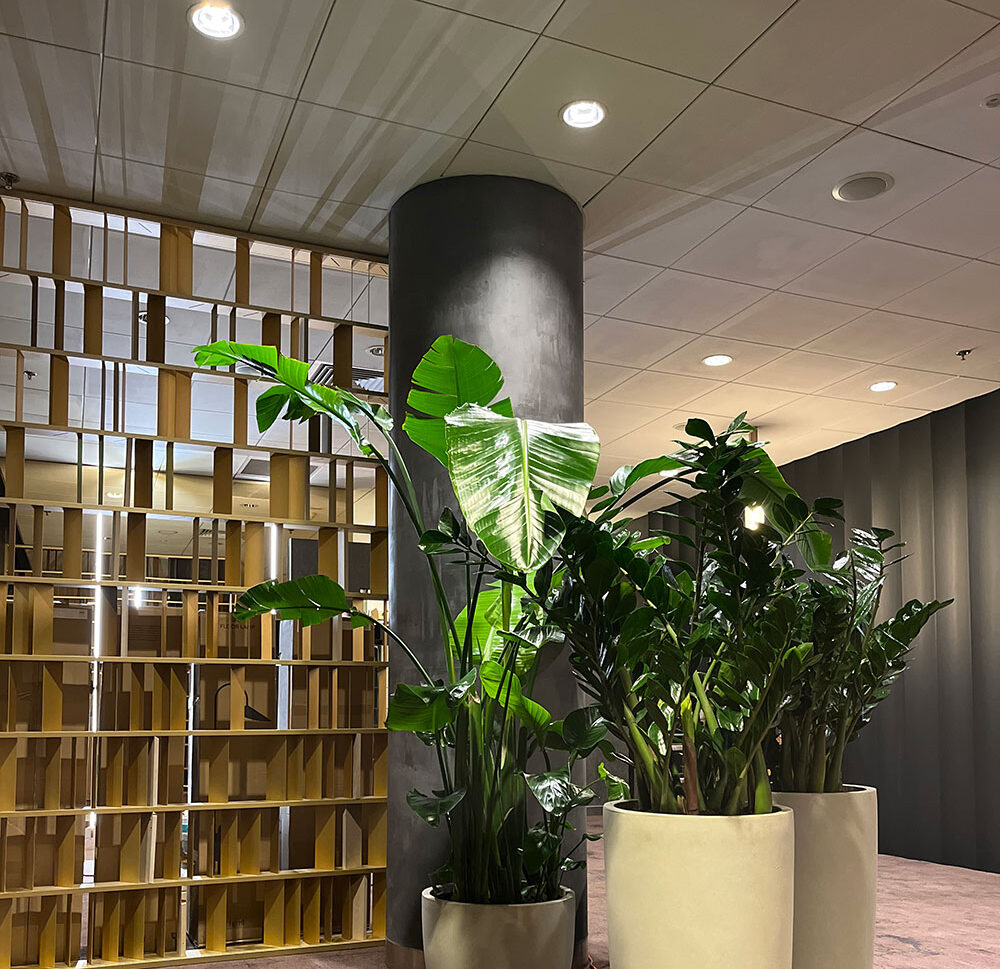 Hol biurowy z dużymi zielonymi roślinami w białych doniczkach, cylindryczną betonową kolumną i dekoracyjną drewnianą ścianką działową. Oświetlenie sufitowe oświetla przestrzeń.
