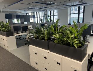 Nowoczesne biuro na otwartym planie z biurkami, komputerami, ergonomicznymi krzesłami i dużymi zielonymi roślinami na białych szafkach. Naturalne światło wpada przez wysokie okna.