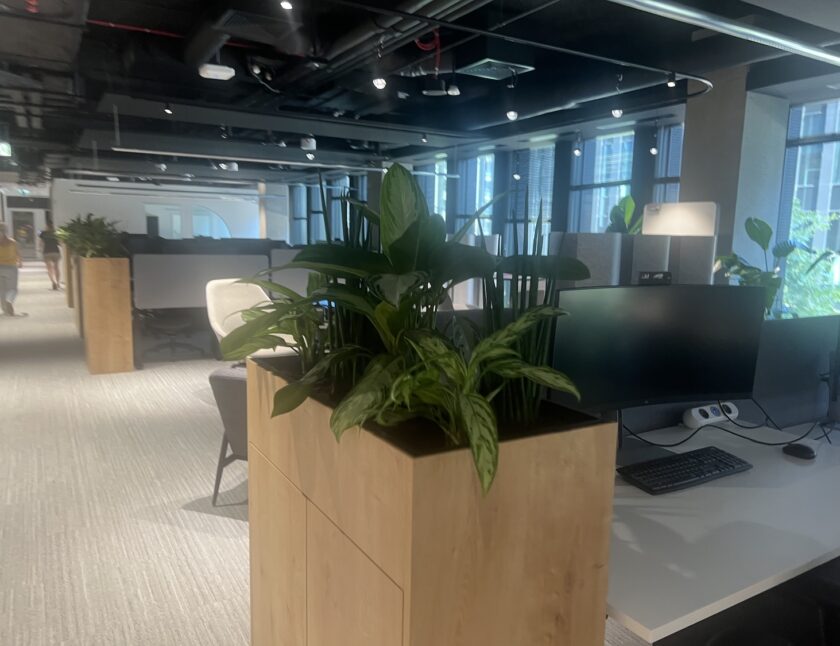 Nowoczesne Biuro producenta sprzętu audio z nowoczesnymi biurkami, komputerami i drewnianą donicą pełną zielonych roślin na pierwszym planie. Przestrzeń doświetlają duże okna i lampy sufitowe.