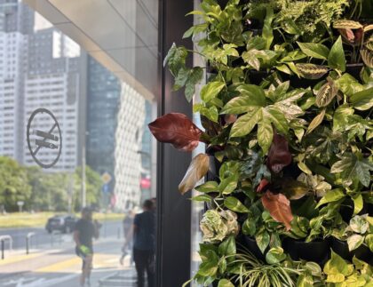 Zielony pionowy ogród wewnątrz budynku, z dużym oknem pokazującym miejską ulicę, spacerujących ludzi i wieżowce na zewnątrz.