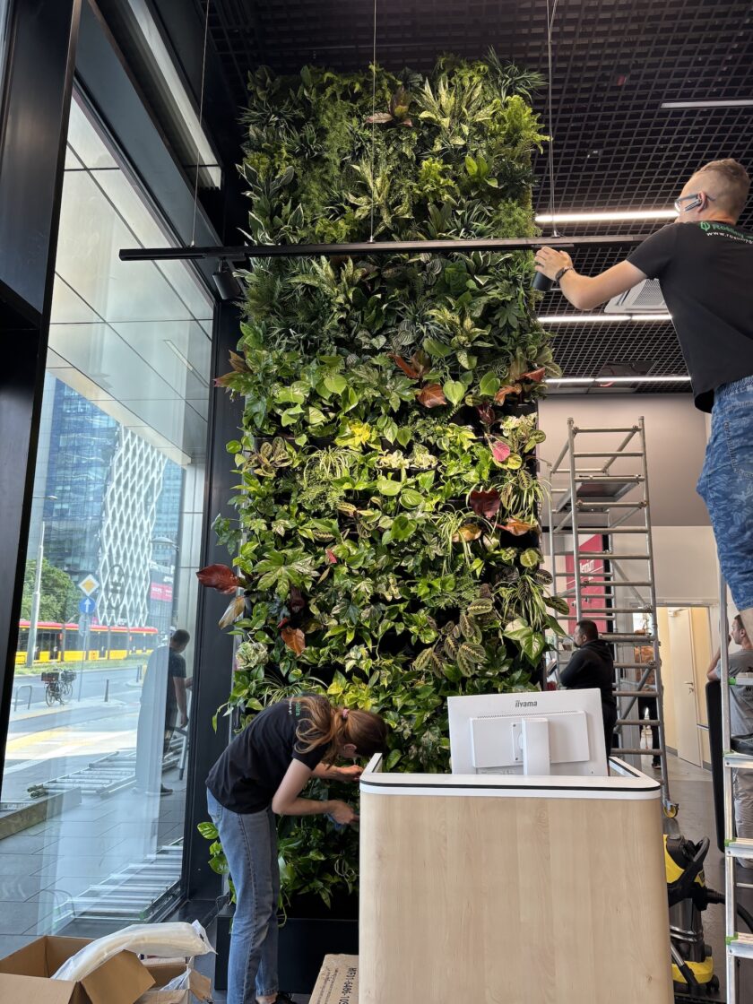 Dwie osoby pracują nad instalacją lub utrzymaniem wysokiego wewnętrznego ogrodu wertykalnego w pobliżu dużego okna w nowoczesnym budynku. Wokół widoczna jest drabina i narzędzia. Dwie osoby pracują nad instalacją lub utrzymaniem wysokiego wewnętrznego ogrodu wertykalnego w pobliżu dużego okna w nowoczesnym budynku. Wokół widoczna jest drabina i narzędzia.