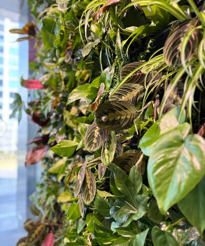 Twój partner  w tworzeniu zielonego biura