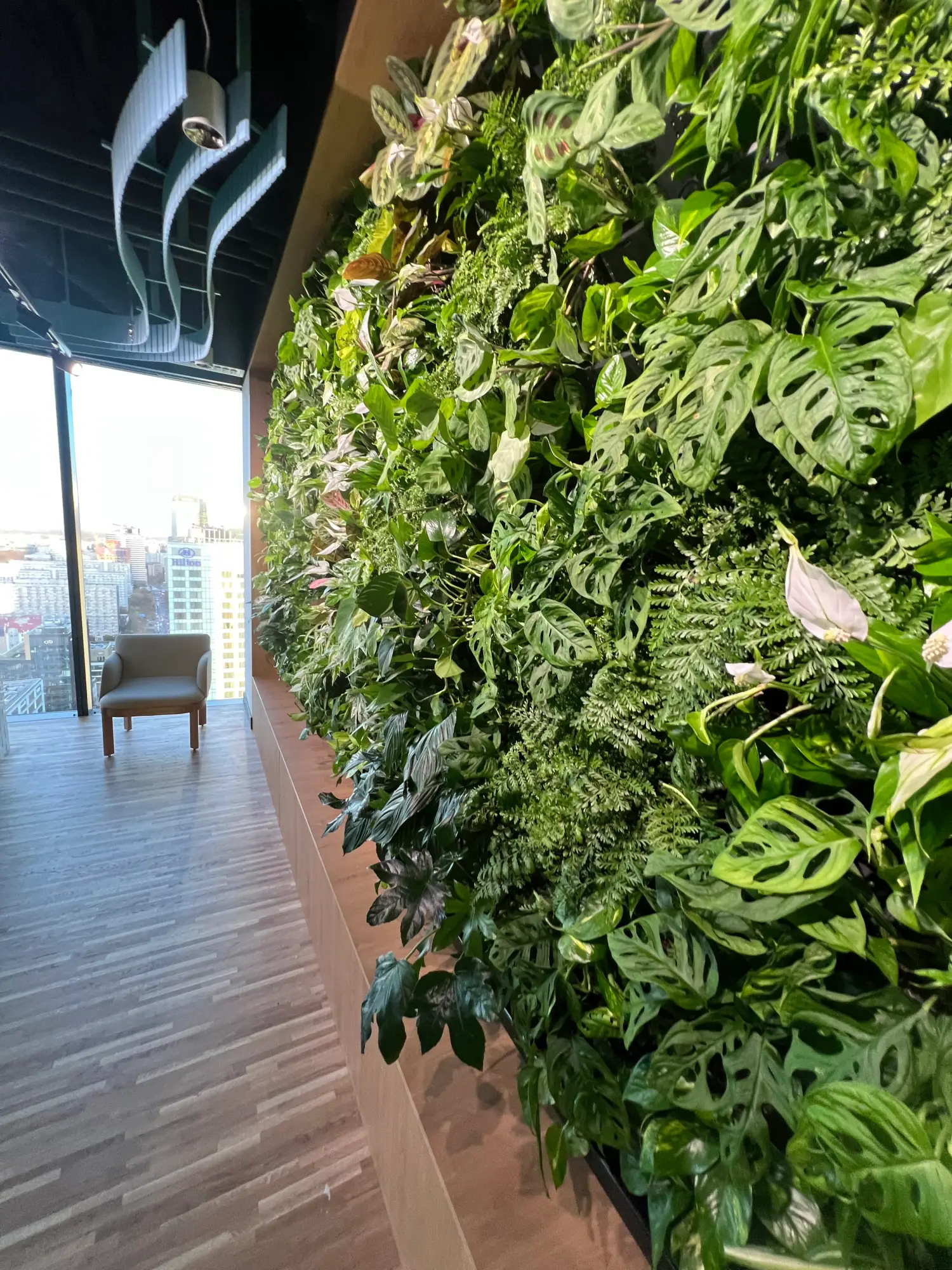 Zielona żywa ściana z różnymi roślinami obok dużego okna i pojedynczego fotela w nowoczesnym pokoju z drewnianą podłogą.