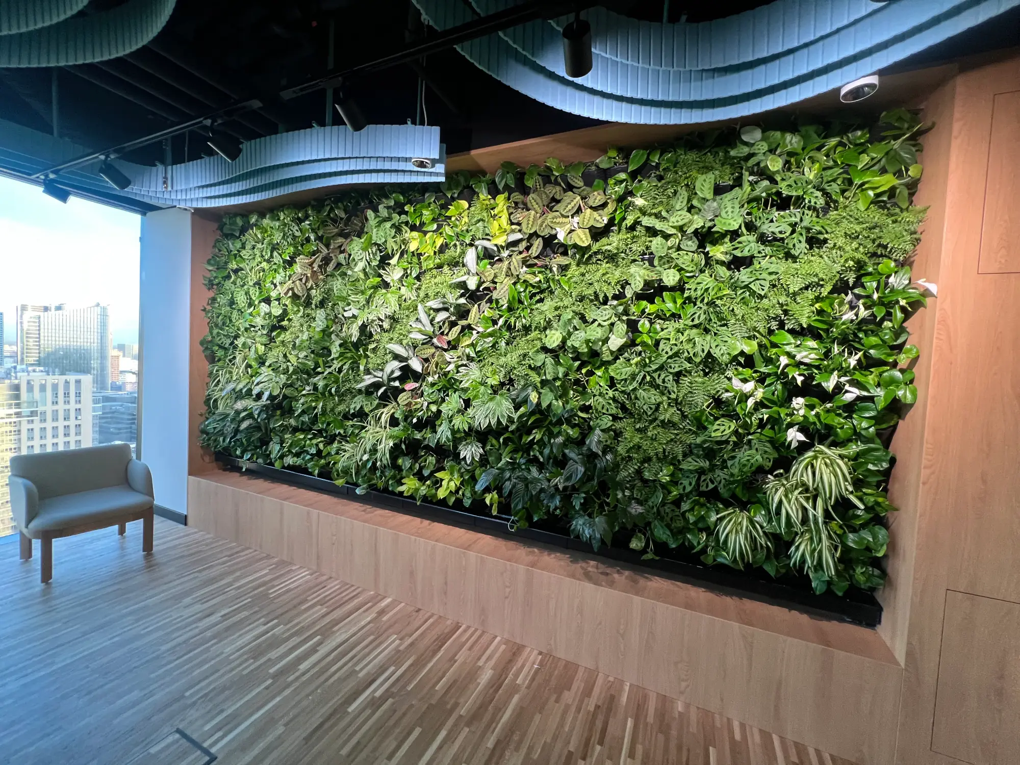 Duża wewnętrzna zielona ściana z różnymi roślinami została zainstalowana na drewnianej ścianie w nowoczesnej przestrzeni biurowej z naturalnym światłem i krzesłem w pobliżu.