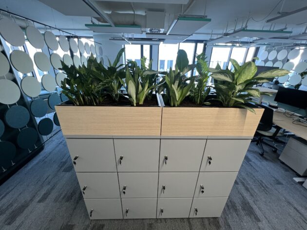Rząd szafek z drewnianą skrzynką na górze, wypełnioną zielonymi roślinami liściastymi, wprowadza rośliny na otwartą przestrzeń do tego nowoczesnego biura.