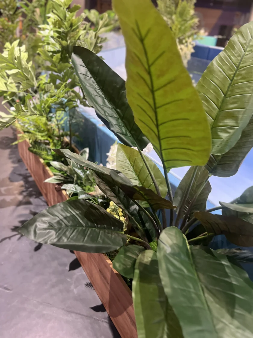 Widok z bliska zielonych roślin liściastych rosnących w drewnianej skrzynce obok niebieskiej szklanej bariery.