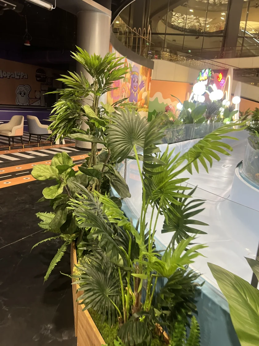 Sadzarka z różnymi zielonymi roślinami tropikalnymi jest umieszczona obok jasnoniebieskiej zakrzywionej struktury w wewnętrznej strefie rozrywki.