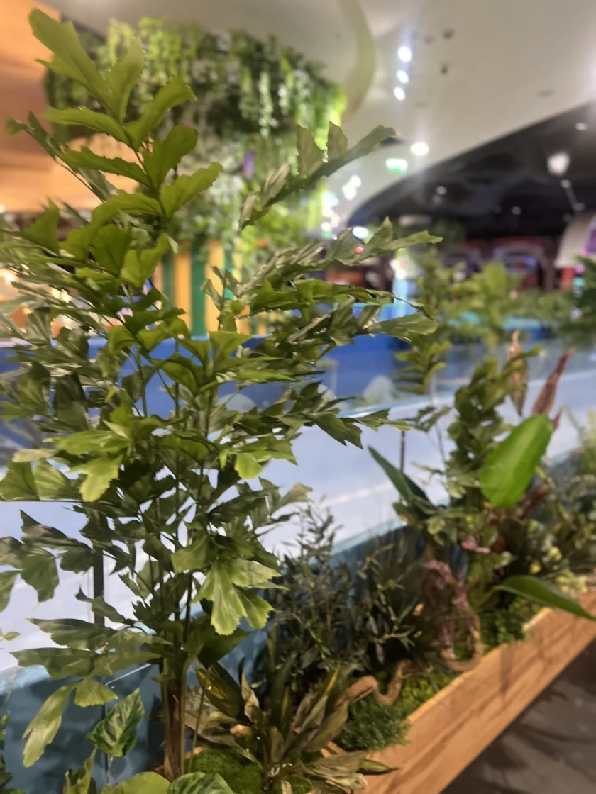 Zbliżenie na zielone rośliny domowe w drewnianej donicy, z rozmytym tłem niebieskiej bariery i oświetleniem wewnętrznym.