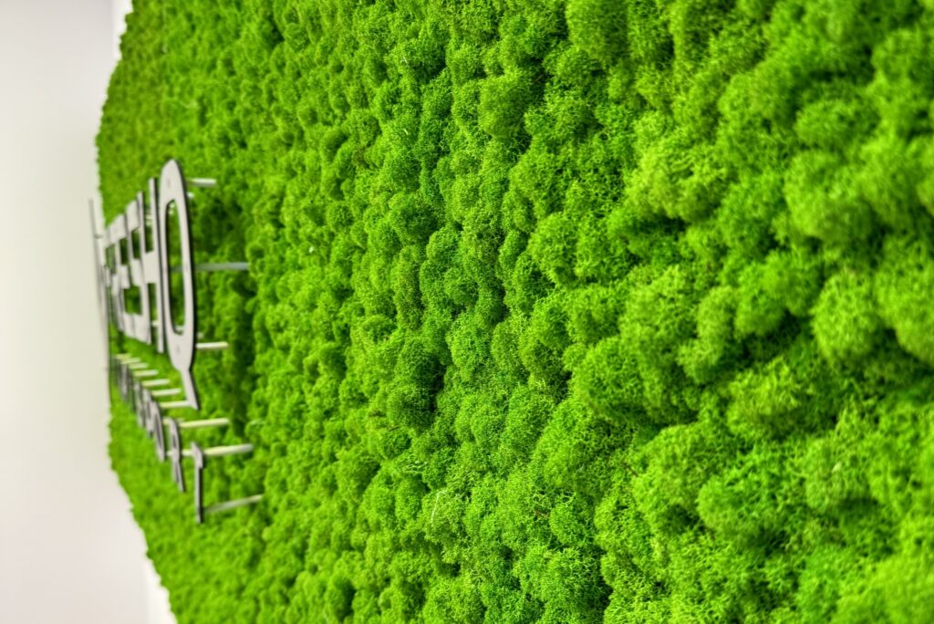 Ściana z mchu w biurze – FAQ, które warto przeczytać przed zakupem
